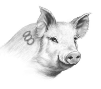 Иллюстрация к книге — Верные. Книга 2. Тайна трёх колец [i_031.jpg]