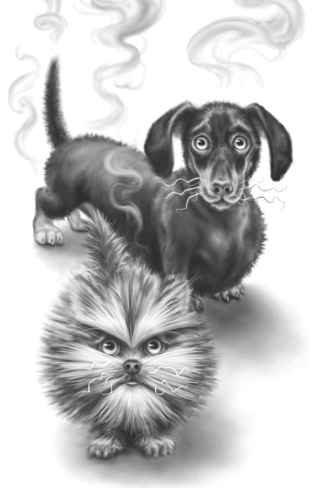 Иллюстрация к книге — Верные. Книга 2. Тайна трёх колец [i_037.jpg]