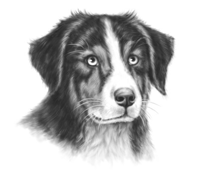 Иллюстрация к книге — Верные. Книга 2. Тайна трёх колец [i_049.jpg]