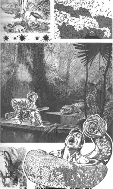 Иллюстрация к книге — Корабль палачей [i_007.jpg]