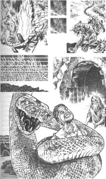 Иллюстрация к книге — Корабль палачей [i_012.jpg]