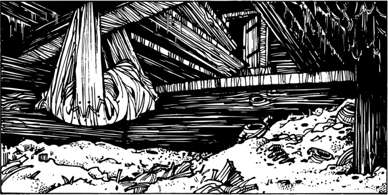 Иллюстрация к книге — Князь Клюква [i_013.jpg]