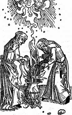 Иллюстрация к книге — Биологическая война. Введение в эпидемиологию искусственных эпидемических процессов и биологических поражений [i_002.jpg]