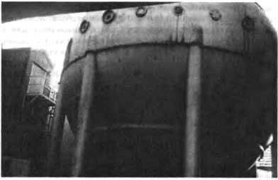 Иллюстрация к книге — Биологическая война. Введение в эпидемиологию искусственных эпидемических процессов и биологических поражений [i_037.jpg]