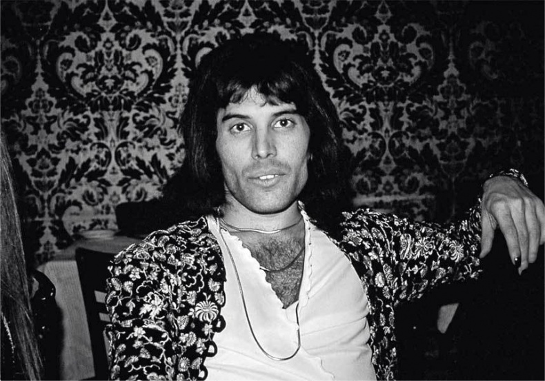 Иллюстрация к книге — Queen. Фредди Меркьюри. Биография [i_012.jpg]