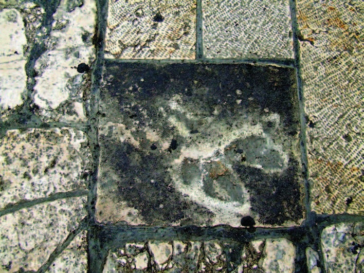 Иллюстрация к книге — Храм Гроба Господня [i_025.jpg]