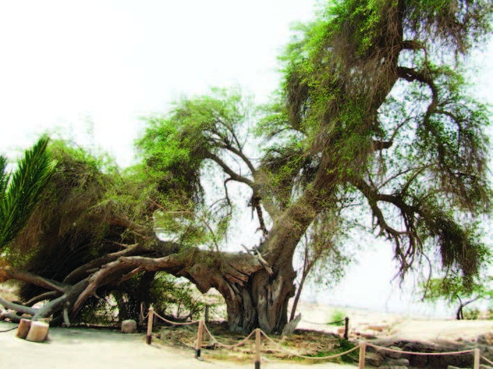 Иллюстрация к книге — Храм Гроба Господня [i_034.jpg]