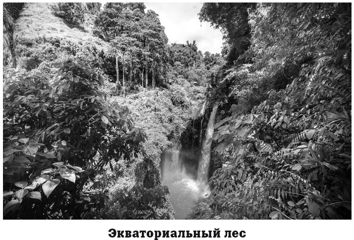 Иллюстрация к книге — География на пальцах [i_108.jpg]