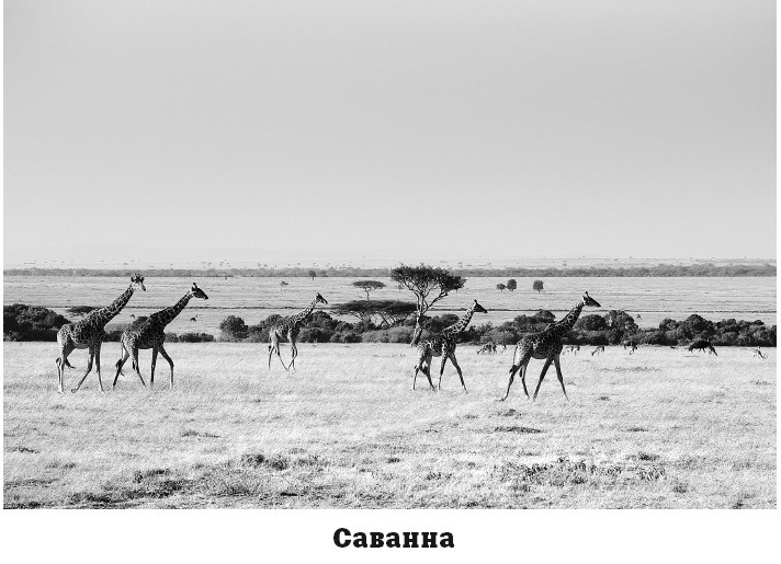 Иллюстрация к книге — География на пальцах [i_109.jpg]