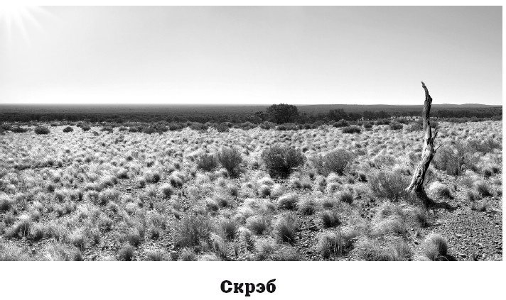 Иллюстрация к книге — География на пальцах [i_125.jpg]