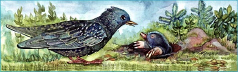 Иллюстрация к книге — Приключения трех смельчаков [i_007.jpg]