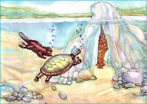 Иллюстрация к книге — Приключения трех смельчаков [i_019.jpg]