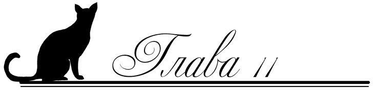 Иллюстрация к книге — Танцы в нечётных дворах [i_011.jpg]