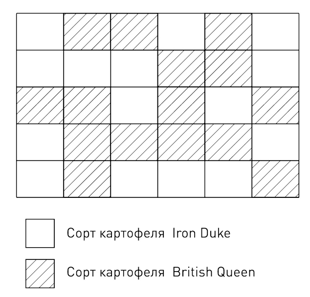 Иллюстрация к книге — 0,05. Доказательная медицина от магии до поисков бессмертия [img_13.jpg]