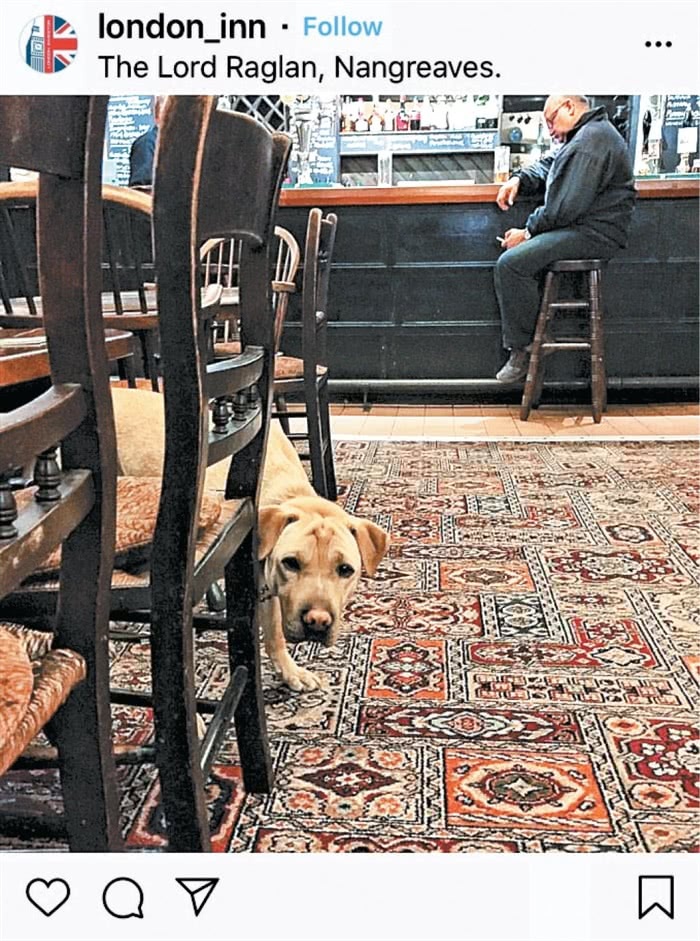 Иллюстрация к книге — Англия, которую вы не знали. #ЛомаемCтереотипы [i_089.jpg]