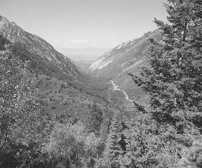 Иллюстрация к книге — Набоков в Америке. По дороге к &quot;Лолите&quot; [i_001.jpg]