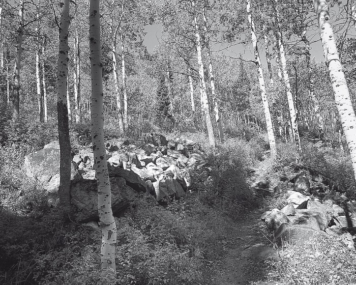 Иллюстрация к книге — Набоков в Америке. По дороге к &quot;Лолите&quot; [i_009.jpg]