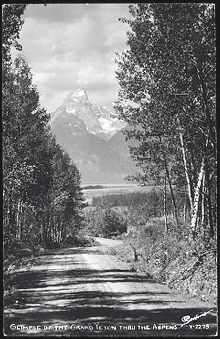 Иллюстрация к книге — Набоков в Америке. По дороге к &quot;Лолите&quot; [i_013.jpg]