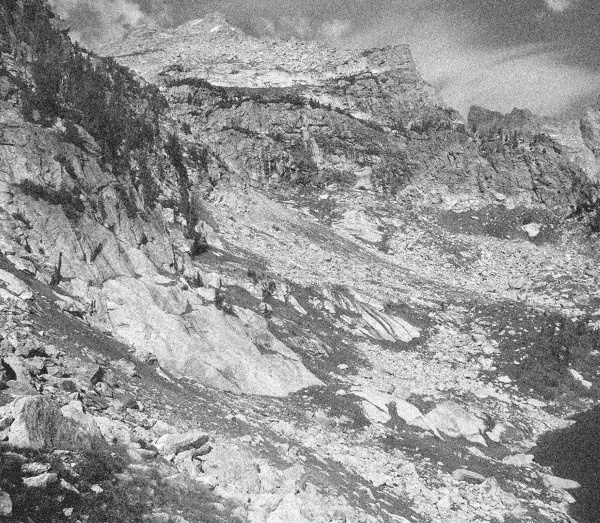 Иллюстрация к книге — Набоков в Америке. По дороге к &quot;Лолите&quot; [i_015.jpg]