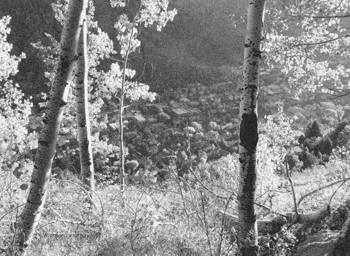 Иллюстрация к книге — Набоков в Америке. По дороге к &quot;Лолите&quot; [i_016.jpg]