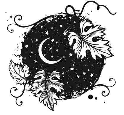 Иллюстрация к книге — Сетерра. 3. Зенит затмения [i_021.jpg]