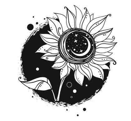 Иллюстрация к книге — Сетерра. 3. Зенит затмения [i_024.jpg]