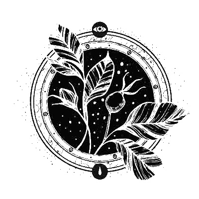 Иллюстрация к книге — Сетерра. 2. Тайнопись видений [i_001.jpg]