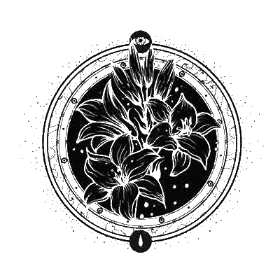 Иллюстрация к книге — Сетерра. 2. Тайнопись видений [i_004.jpg]