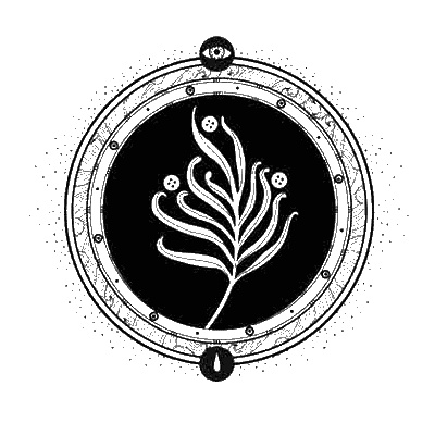 Иллюстрация к книге — Сетерра. 2. Тайнопись видений [i_009.jpg]