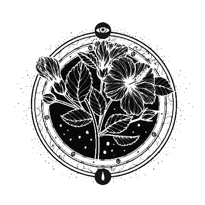 Иллюстрация к книге — Сетерра. 2. Тайнопись видений [i_010.jpg]