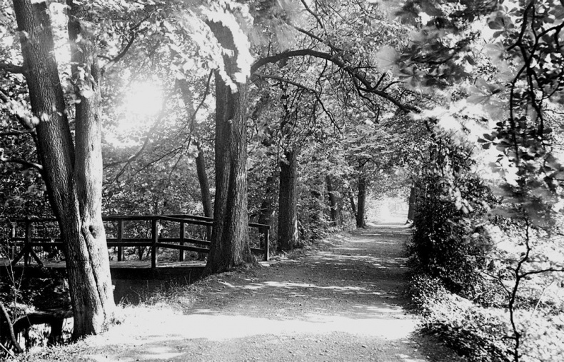 Иллюстрация к книге — Клайв Стейплз Льюис. Человек, подаривший миру Нарнию [i_025.jpg]