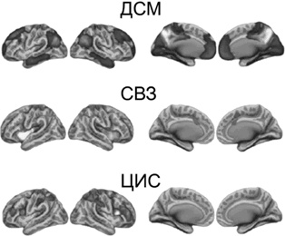 Иллюстрация к книге — Счастливый ребенок. Универсальные правила [i_003.jpg]