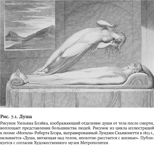 Иллюстрация к книге — Небеса на земле. Научный взгляд на загробную жизнь, бессмертие и утопии [i_014.jpg]