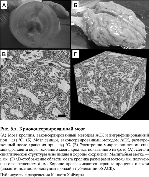 Иллюстрация к книге — Небеса на земле. Научный взгляд на загробную жизнь, бессмертие и утопии [i_016.jpg]