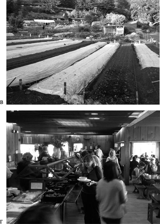 Иллюстрация к книге — Небеса на земле. Научный взгляд на загробную жизнь, бессмертие и утопии [i_023.jpg]