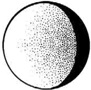 Иллюстрация к книге — Сетерра. Книга 1. Шепот пепла [i_001.jpg]