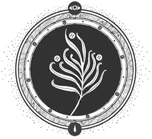 Иллюстрация к книге — Сетерра. Книга 1. Шепот пепла [i_025.jpg]