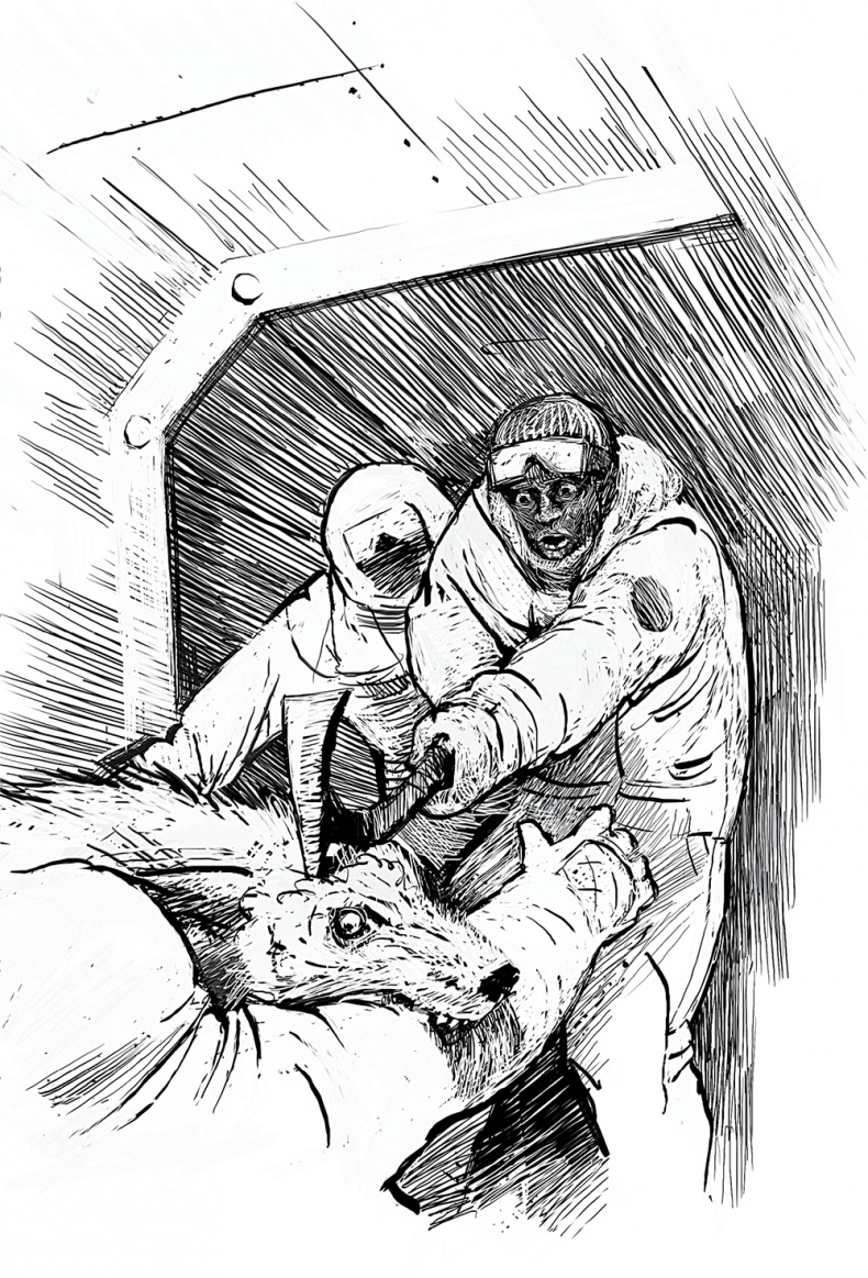 Иллюстрация к книге — Холод. Неотвратимая гибель. Ледяная бесконечность. Студёное дыхание [i_021.jpg]