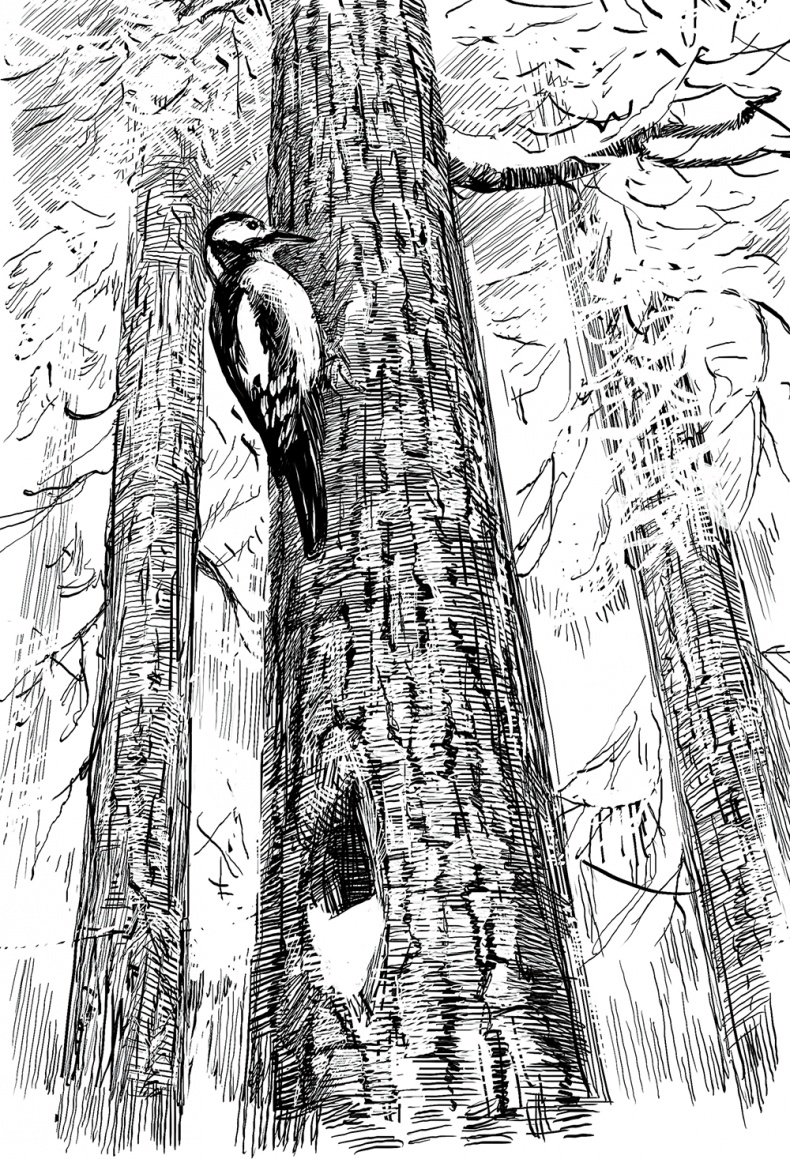 Иллюстрация к книге — Холод. Неотвратимая гибель. Ледяная бесконечность. Студёное дыхание [i_036.jpg]