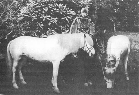 Иллюстрация к книге — Японо-китайская война 1894-1895 гг. Неуслышанная война [i_018.jpg]