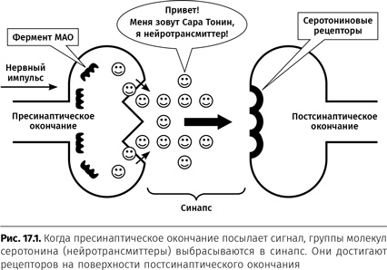 Иллюстрация к книге — Терапия настроения. Клинически доказанный способ победить депрессию без таблеток [i_078.jpg]