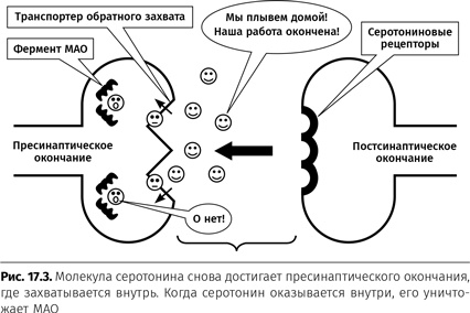 Иллюстрация к книге — Терапия настроения. Клинически доказанный способ победить депрессию без таблеток [i_080.jpg]