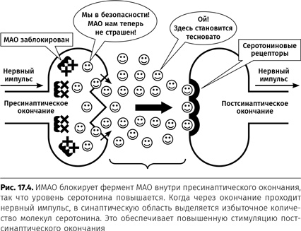 Иллюстрация к книге — Терапия настроения. Клинически доказанный способ победить депрессию без таблеток [i_081.jpg]