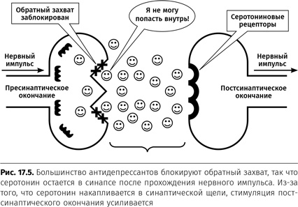 Иллюстрация к книге — Терапия настроения. Клинически доказанный способ победить депрессию без таблеток [i_082.jpg]
