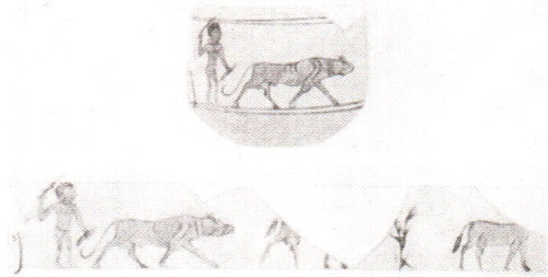 Иллюстрация к книге — Общество и хозяйство в Римской империи. В 2 томах. Том 2 [i_042.jpg]