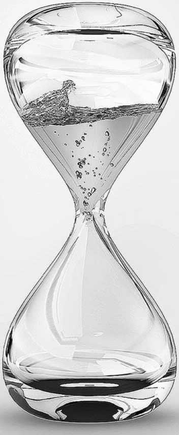 Иллюстрация к книге — История часов. Эволюция от солнечных до водородных [i_004.jpg]