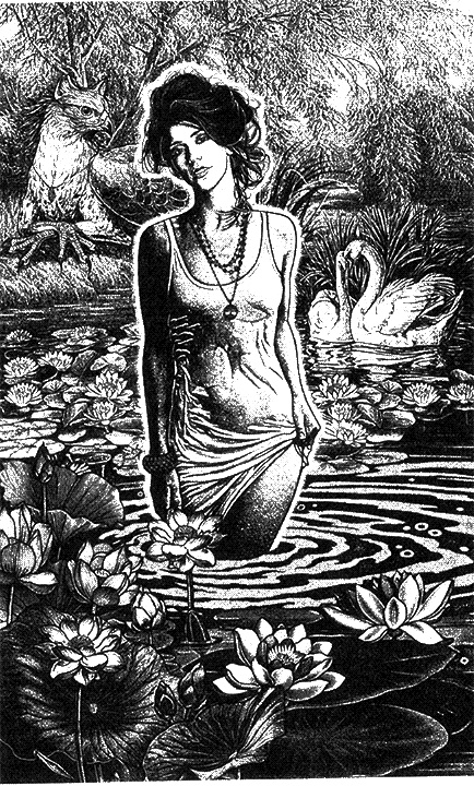 Иллюстрация к книге — Тьяна. Избранница Каарха  [i_001.jpg]