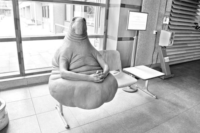 Иллюстрация к книге — Путин - Трамп. О чем не знают в Госдепартаменте? [i_031.jpg]