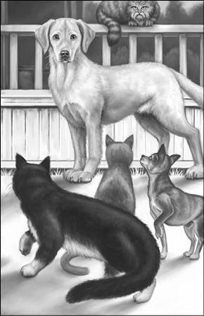 Иллюстрация к книге — Верные. Книга 3. Дорога чудес и невзгод [i_004.jpg]