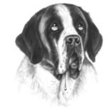 Иллюстрация к книге — Верные. Книга 3. Дорога чудес и невзгод [i_007.jpg]